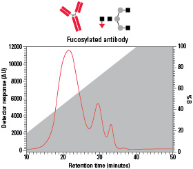 Fucosylated antibody