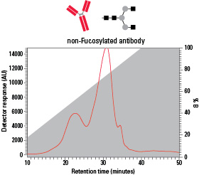 non-Fucosylated antibody