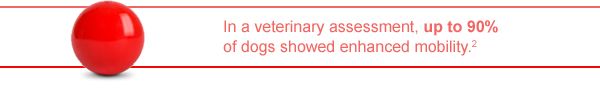 In a veterinary assessment, up to 90% of dogs showed enhanced mobility. (2)