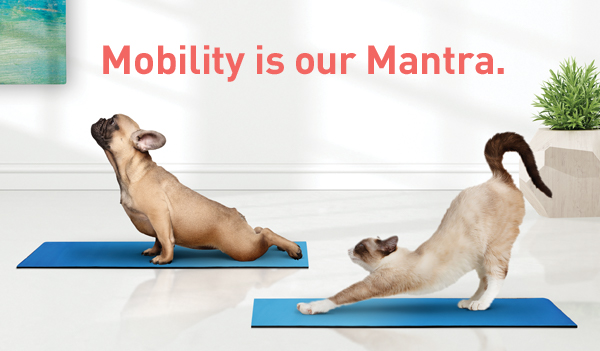 Mobility is our Mantra.