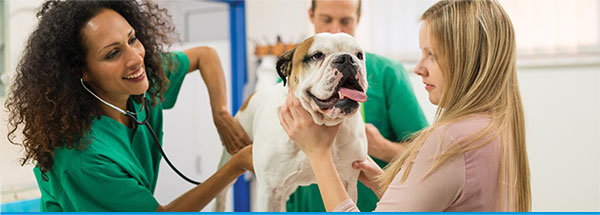 How can Trupanion benefit your hospital