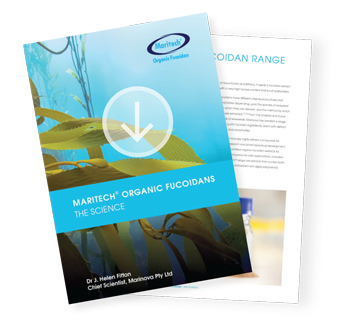 brochure-image-link-to-pdf-download